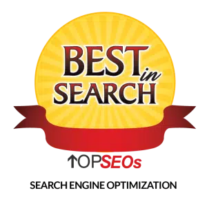 topseos-768x759-1.png